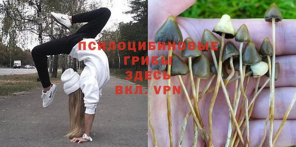 альфа пвп Видное