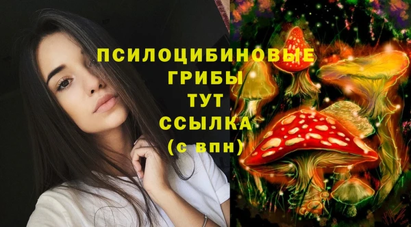 экстази Абаза